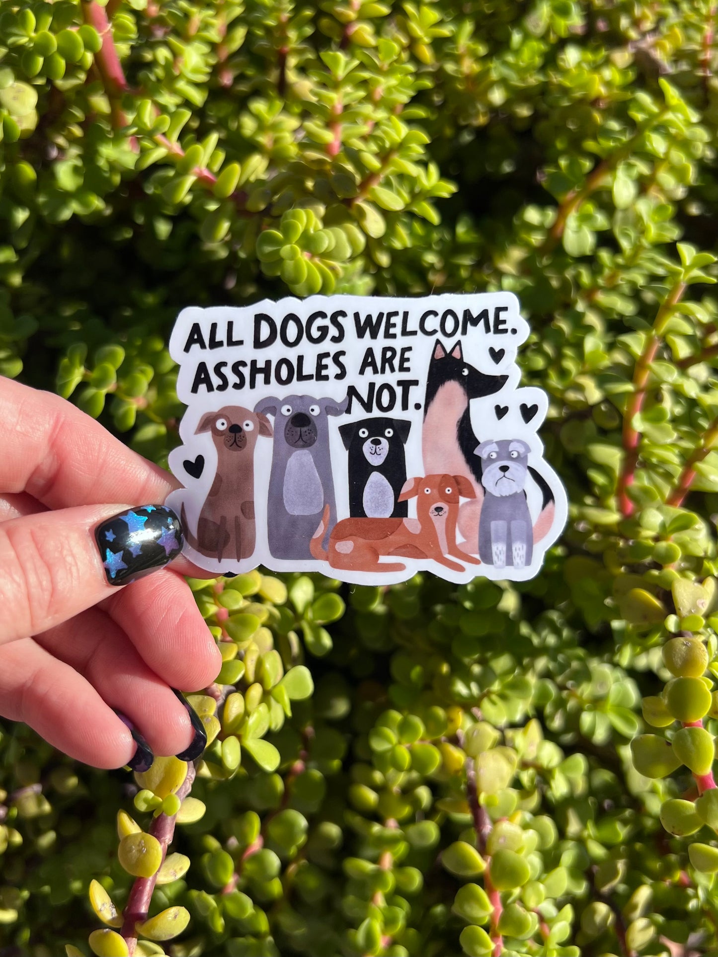 All Dogs Welcome Assholes Are Not Sticker