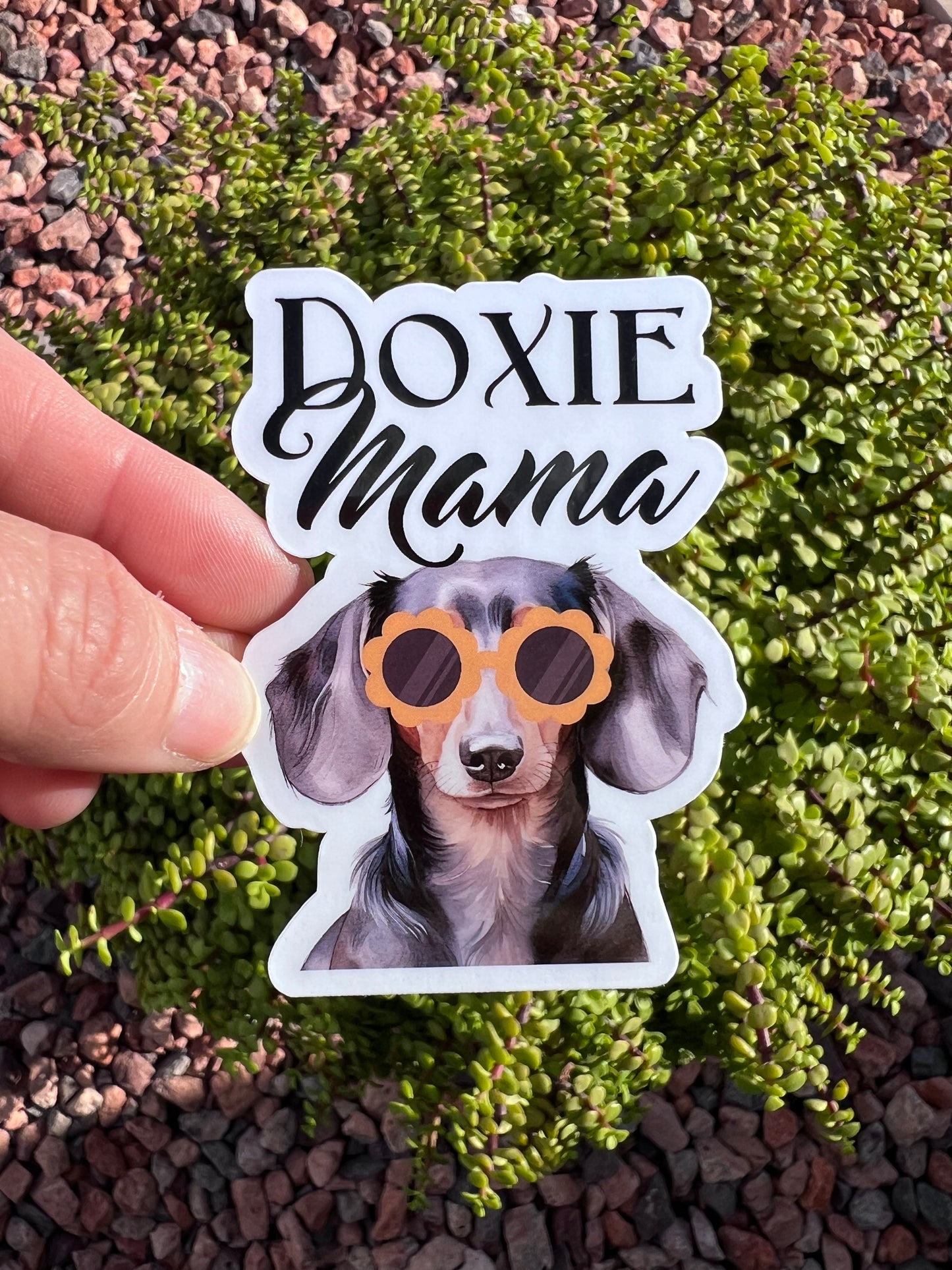 Doxie Mama Sticker | Dachshund Sticker