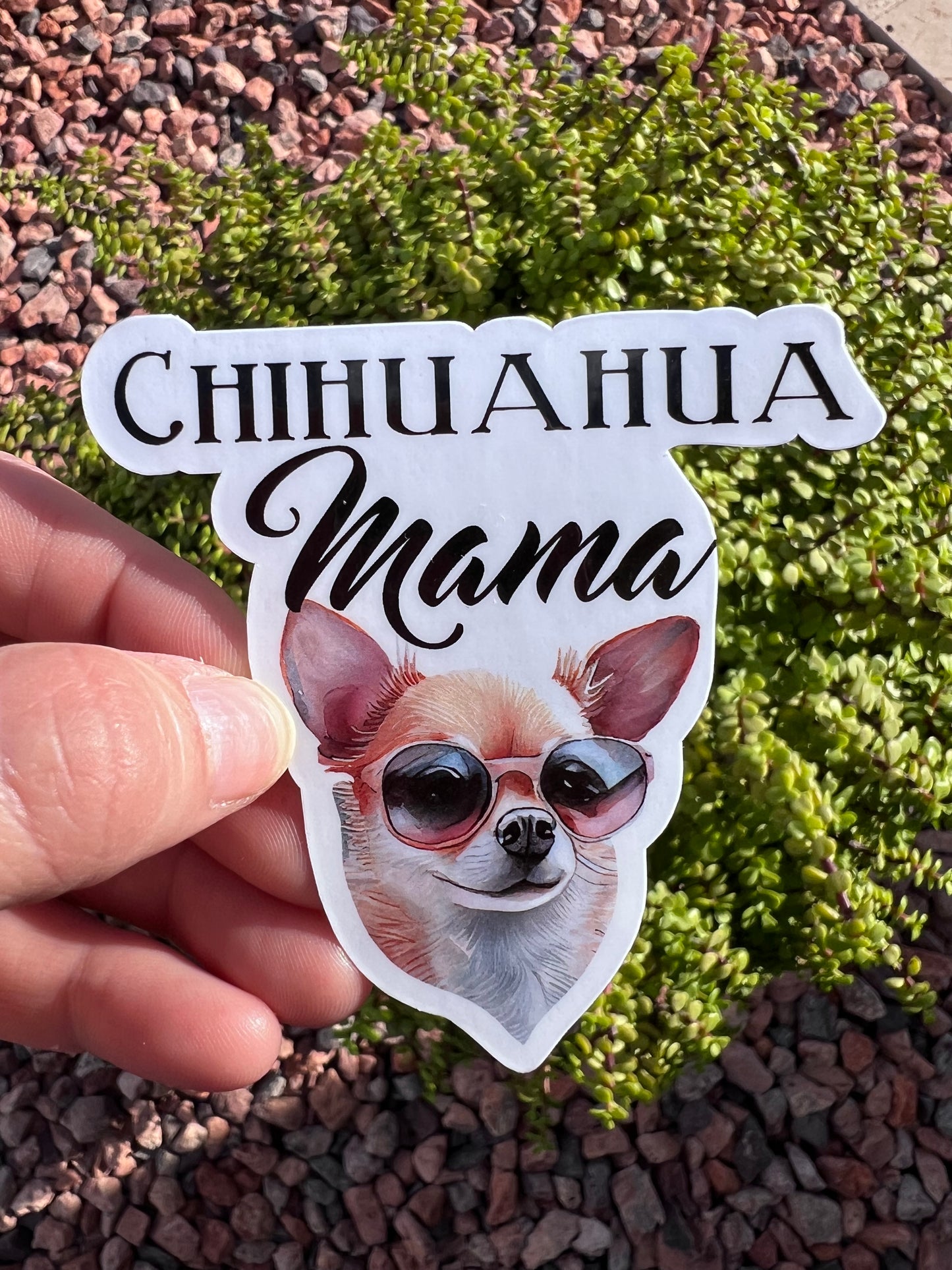 Chihuahua Mama Sticker