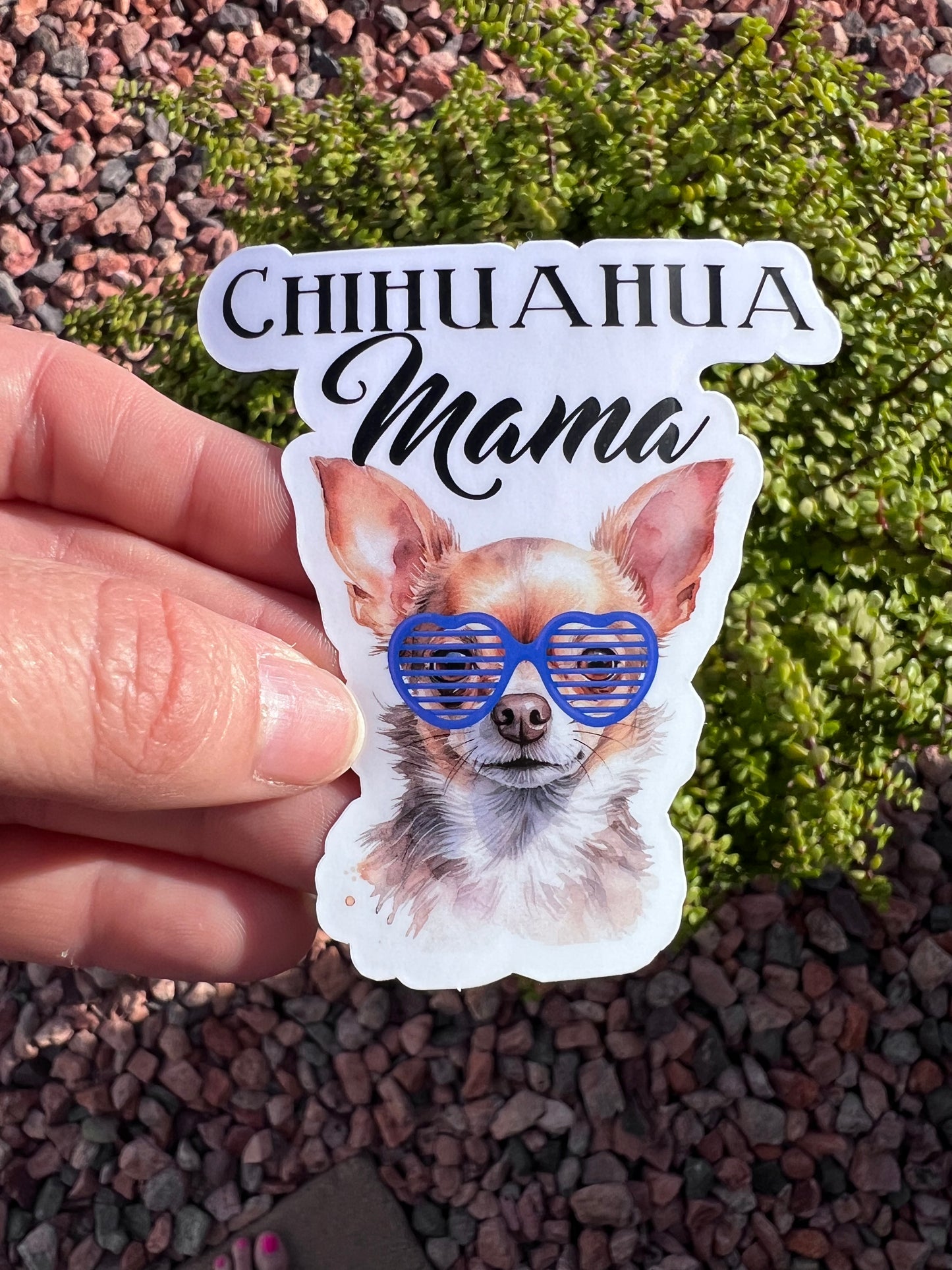Chihuahua Mama Sticker