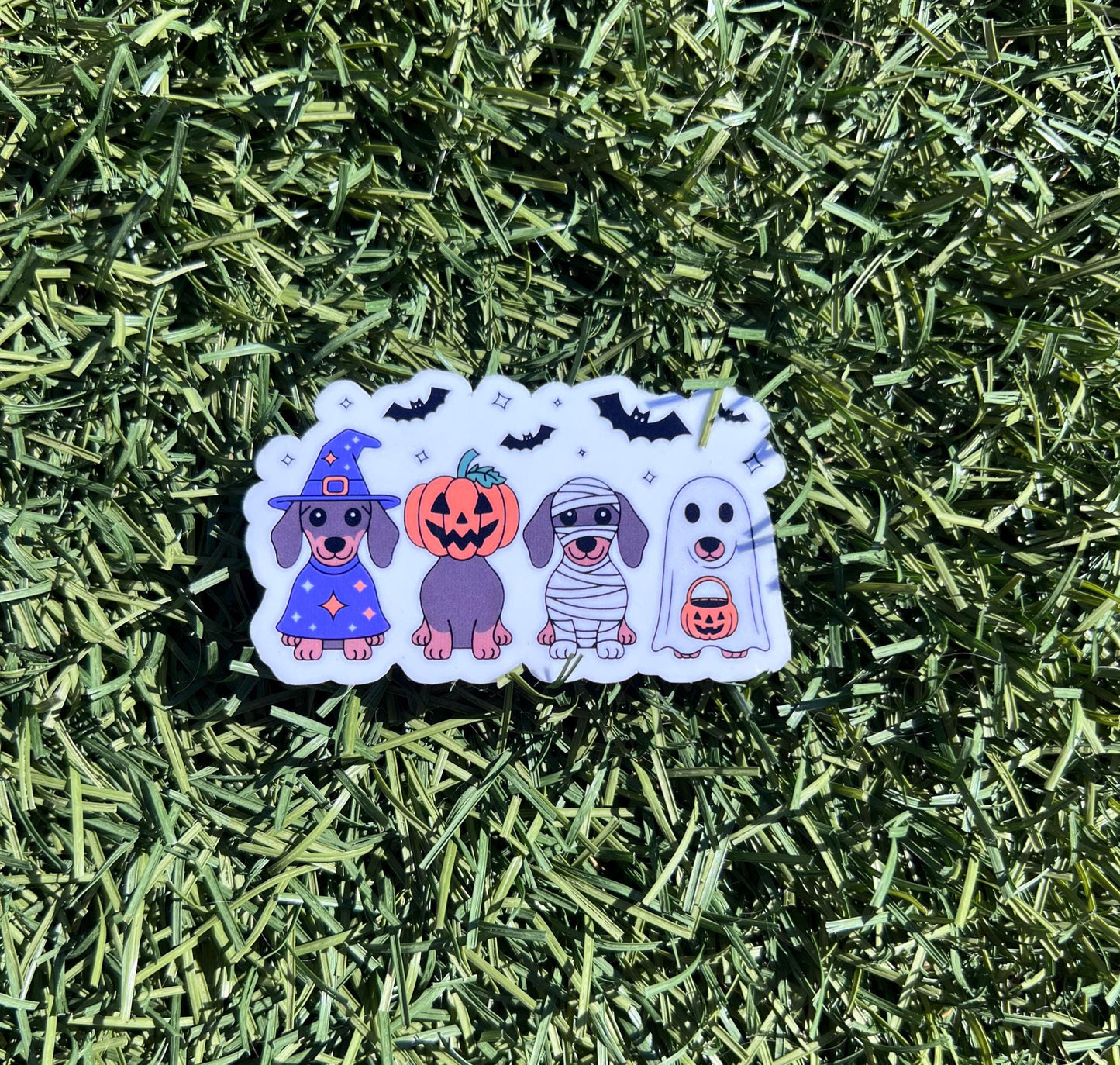 cute dachshund Halloween sticker, gift for dog mom who loves spooky season, Halloween doxie sticker for laptop or water bottle