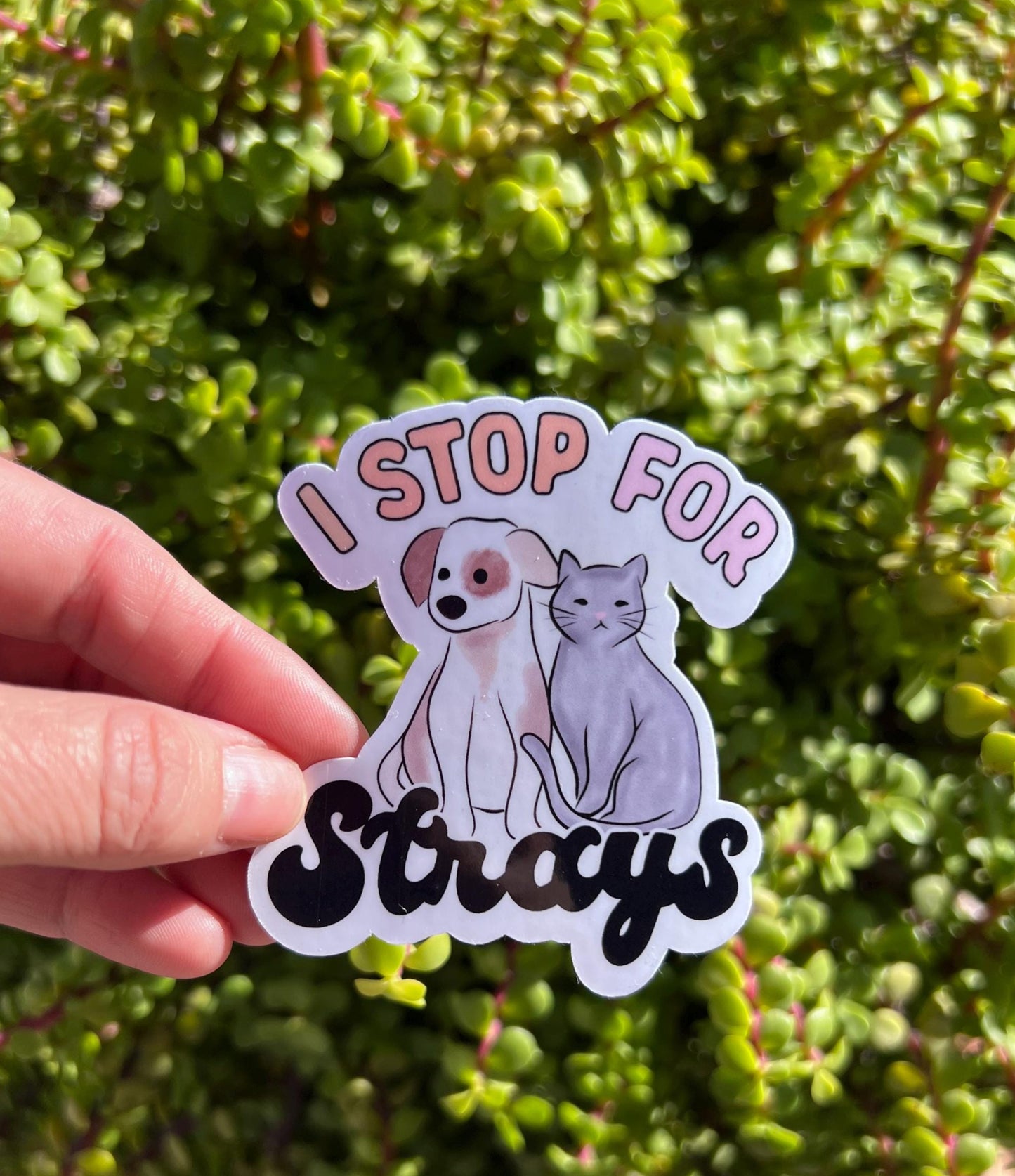 I Stop for Strays Sticker – Dog & Cat Rescue Decal, Animal Lover Gift, Water-Resistant Vinyl, Perfect for Car, Laptop, or Water Bottle