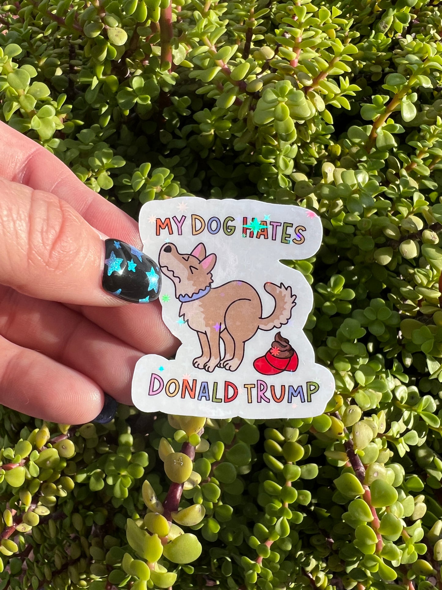 Anti-trump Sticker Bundle