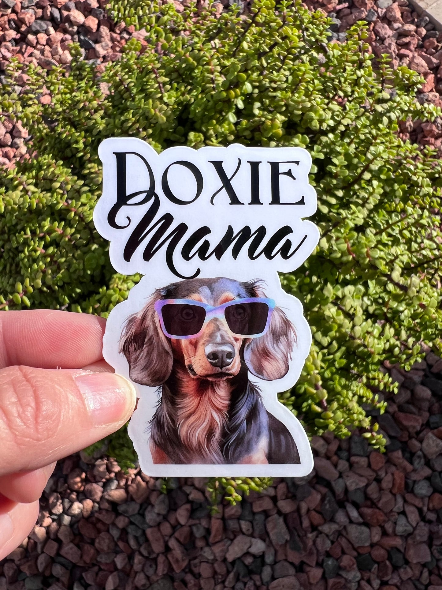 Doxie Mama Sticker | Dachshund Sticker
